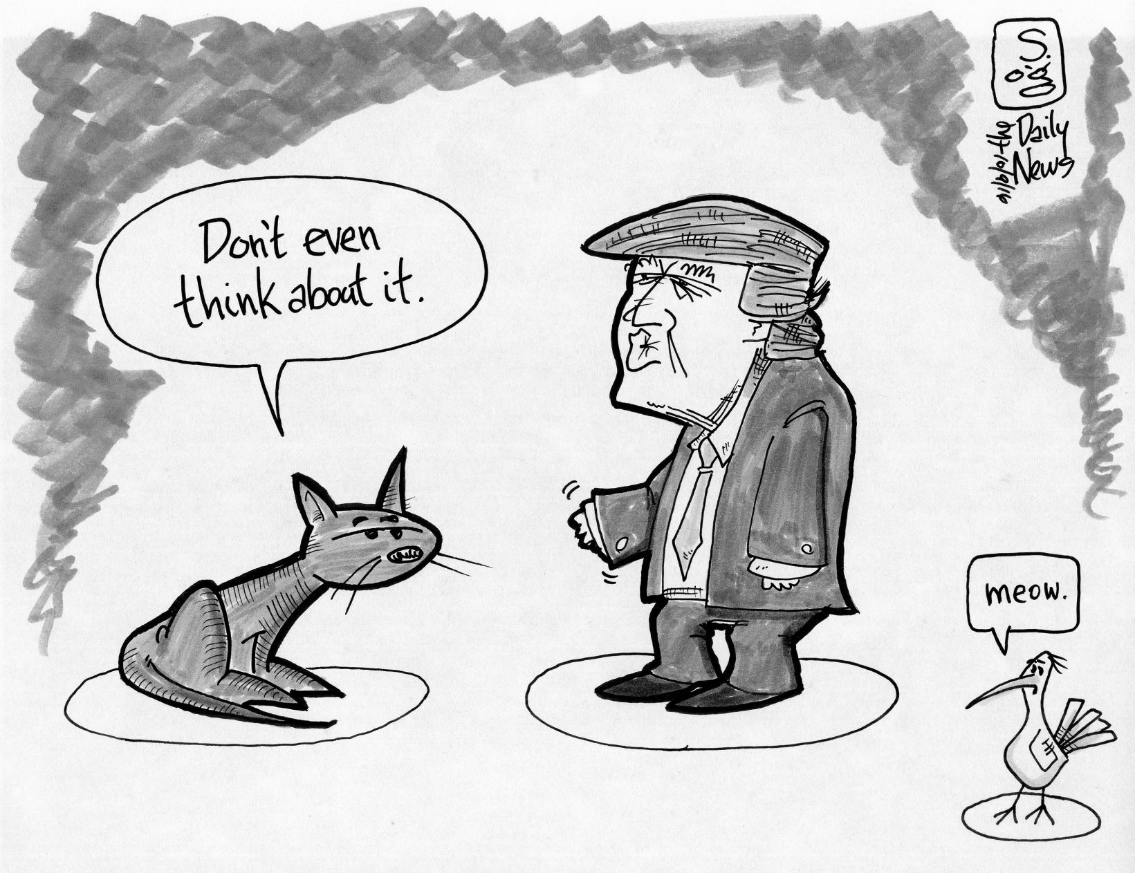 Not even Trump's cat is happy with him